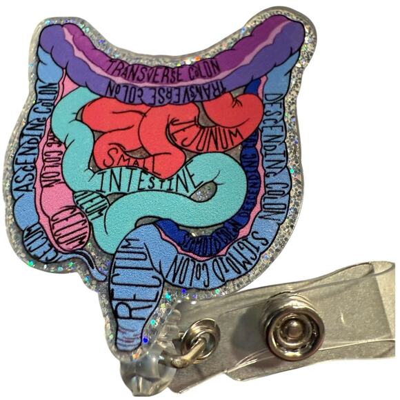 Anatomical Colon Retractable ID Badge Reel, Gastro, Colorectal, Surgeon NWT - Picture 2 of 3